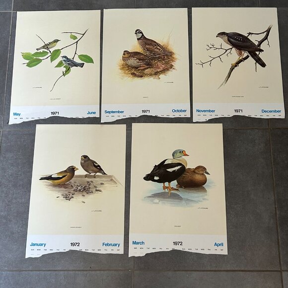 Vintage 1971 & 1972 Calendar Prints J.F. Lansdowne Birds - Picture 1 of 10